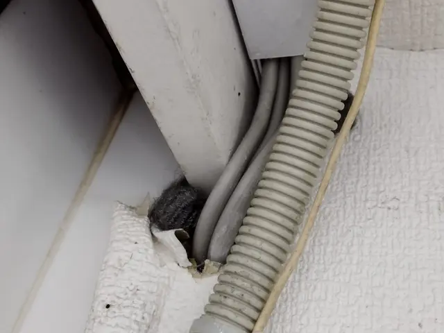 ゴキブリはプロにお任せ下さい。実績があります。サービスの画像