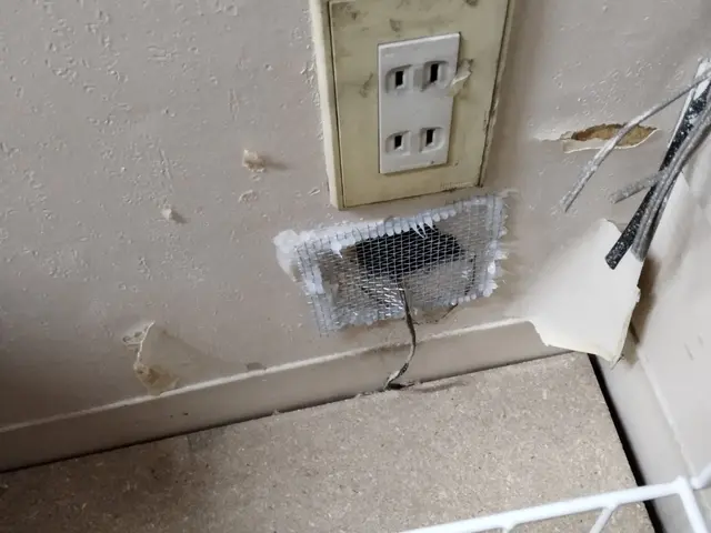 ゴキブリはプロにお任せ下さい。実績があります。サービスの画像