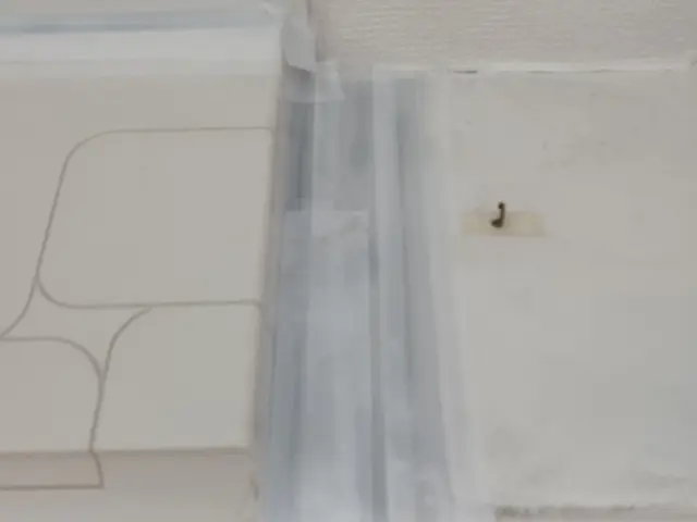 ゴキブリはプロにお任せ下さい。実績があります。サービスの画像