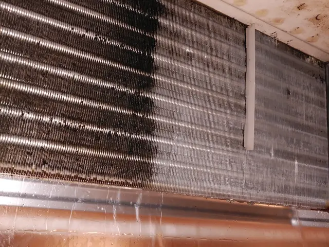 【損害保険加入店◎】　安心安全の自社対応！サービスの画像