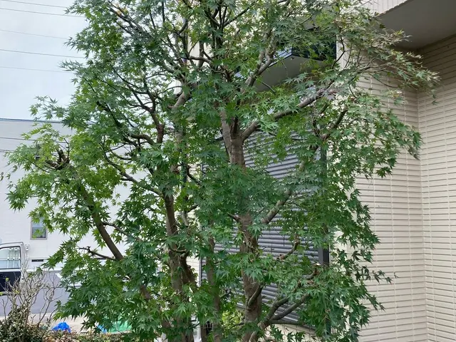 【業歴10年以上の経験と実績】年中無休！作業外注なし・自社スタッフが作業！サービスの画像