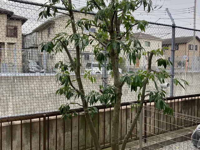 【業歴10年以上の経験と実績】年中無休！作業外注なし・自社スタッフが作業！サービスの画像