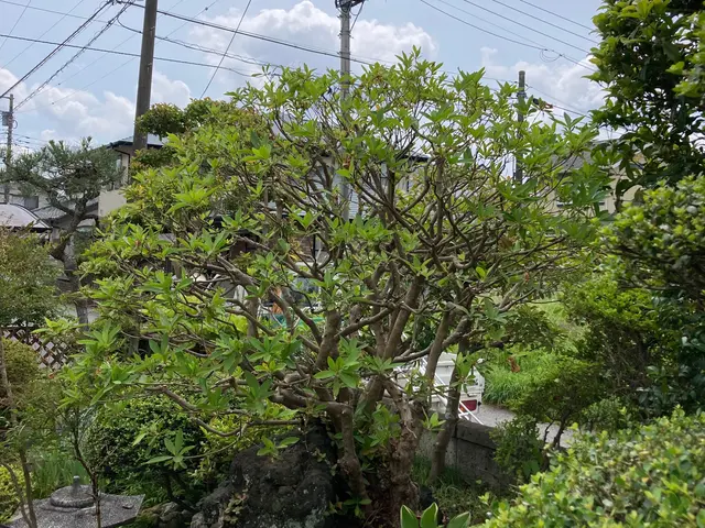 【業歴10年以上の経験と実績】年中無休！作業外注なし・自社スタッフが作業！サービスの画像