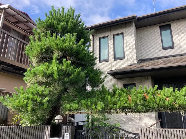 【業歴10年以上の経験と実績】年中無休！作業外注なし・自社スタッフが作業！サービスの画像