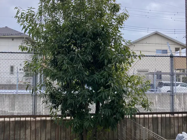 【業歴10年以上の経験と実績】年中無休！作業外注なし・自社スタッフが作業！サービスの画像