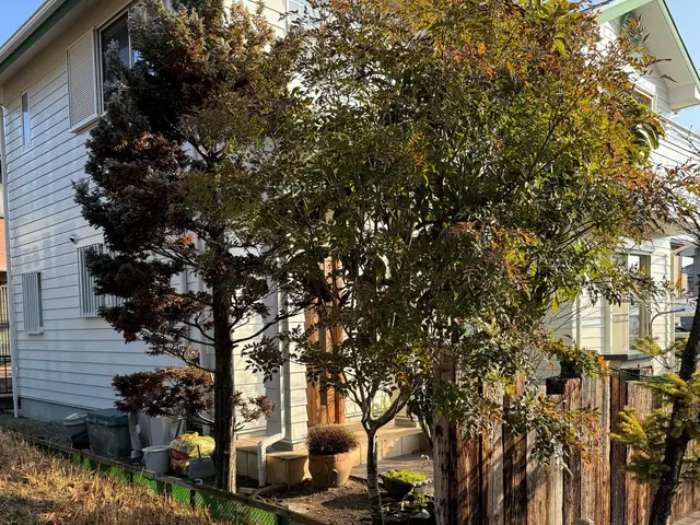 【三田市の双子のお庭屋さん】営業時間外のご予約についても相談受け付けます◎サービスの画像