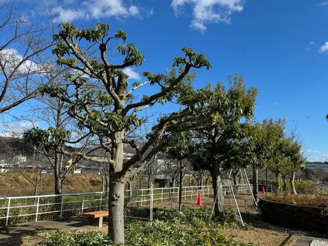 【三田市の双子のお庭屋さん】営業時間外のご予約についても相談受け付けます◎サービスの画像