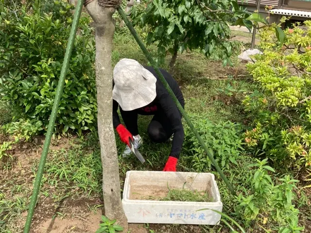 管理栄養士監修の食事提供のできる家事代行サービスです。サービスの画像