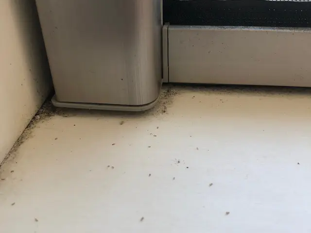 【すべて自社対応】地域密着◇お客様のお力になります！サービスの画像