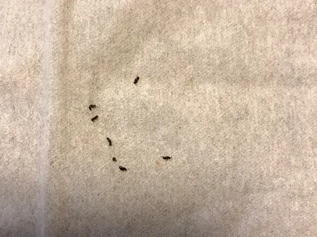 【すべて自社対応】地域密着◇お客様のお力になります！サービスの画像