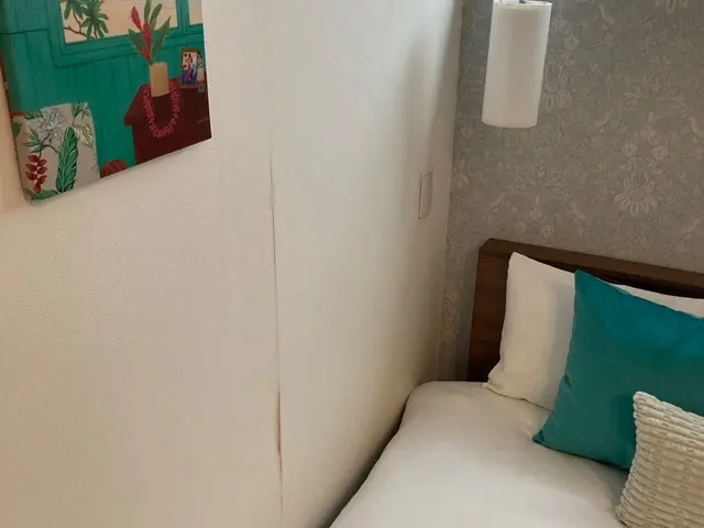 3年の実績で培った技術力で壁の美しさを完全復活！女性スタッフ同行可能で安心対応サービスの画像