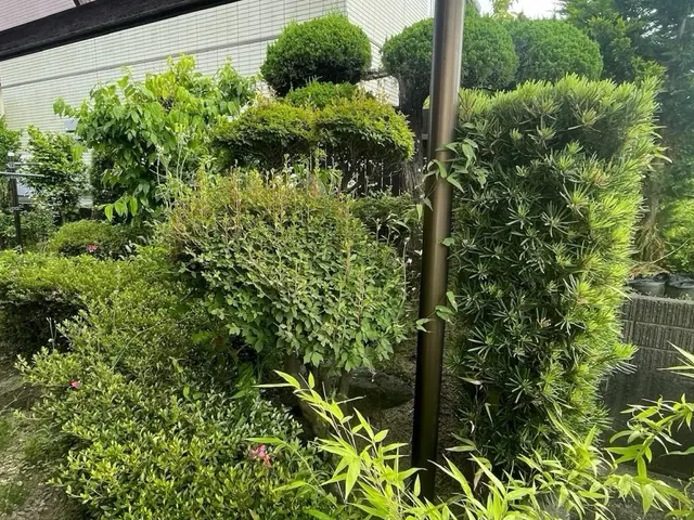 親しみやすさ相談しやすさをモットーに！サービスの画像