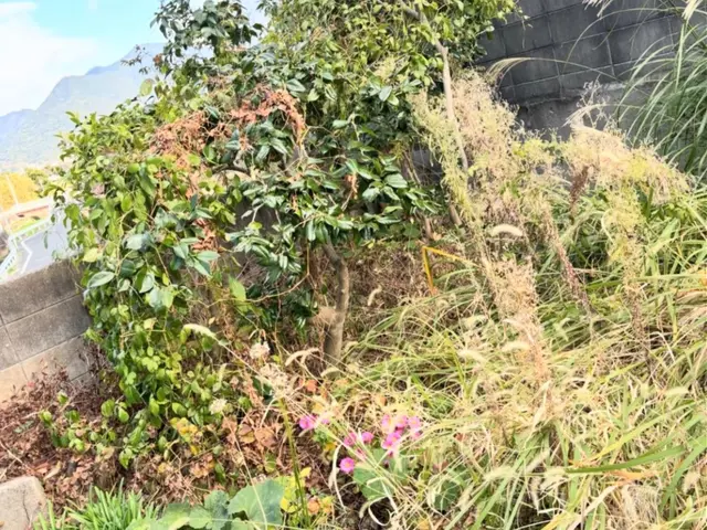 親しみやすさ相談しやすさをモットーに！サービスの画像