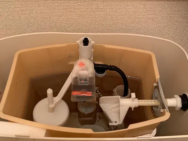 ◉夫婦でお伺い◉業歴10年以上◉水槽タンク内まで綺麗に致しますサービスの画像