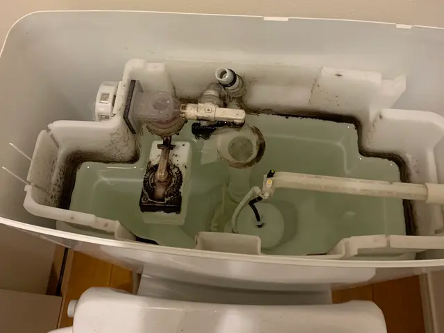 ◉夫婦でお伺い◉業歴10年以上◉水槽タンク内まで綺麗に致しますサービスの画像