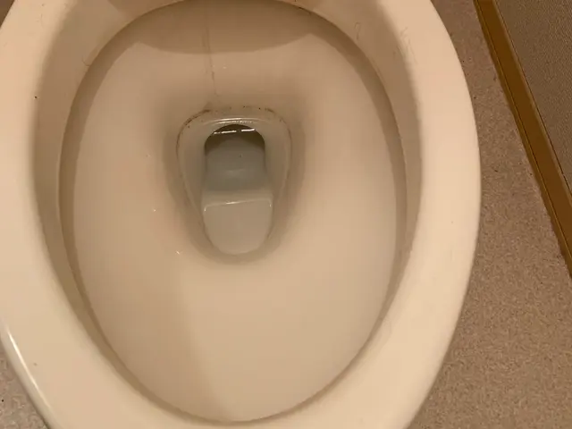 ◉夫婦でお伺い◉業歴10年以上◉水槽タンク内まで綺麗に致しますサービスの画像