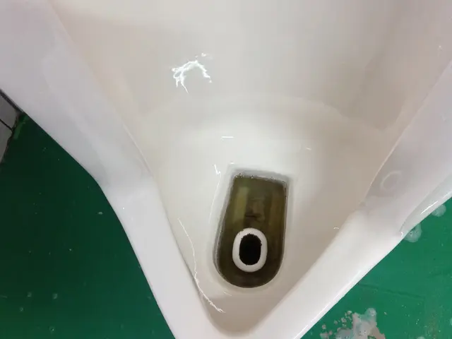 プロの技術でご満足いただけるように心を込めて作業いたしますサービスの画像