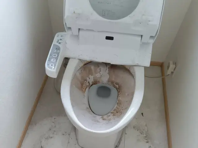 プロの技術でご満足いただけるように心を込めて作業いたしますサービスの画像