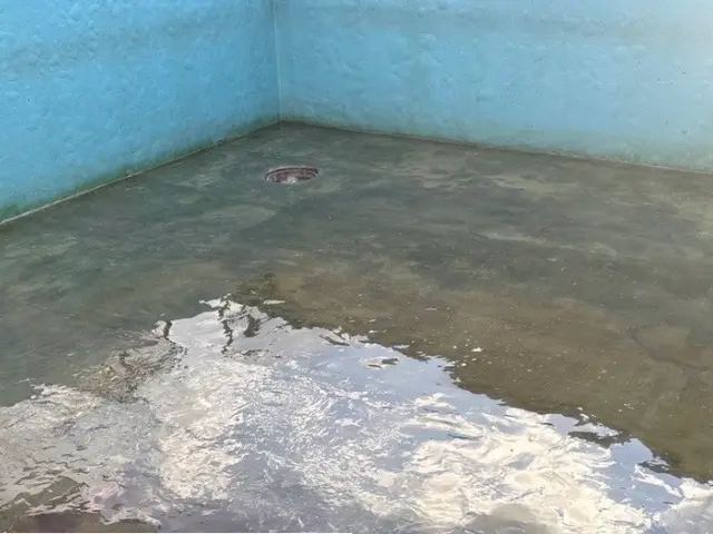 エンジン高圧洗浄機による洗浄作業サービスの画像