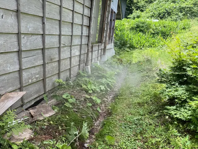 【害獣レスキュー24】◎誠実駆除◎安心と清潔をお届けするプロの訪問サービスサービスの画像