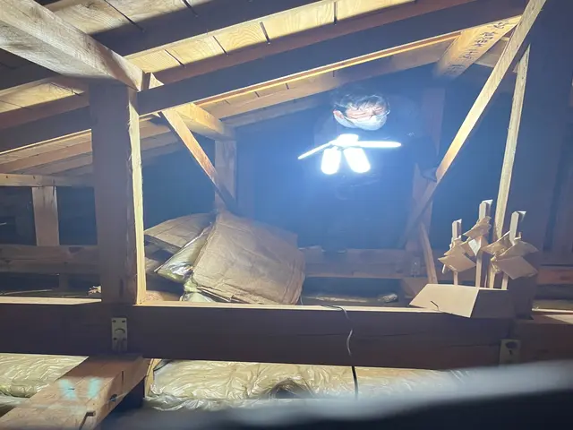 【害獣レスキュー24】◎誠実駆除◎安心と清潔をお届けするプロの訪問サービスサービスの画像