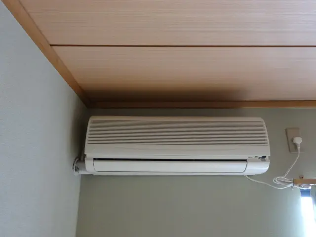 猫ちゃん ワンちゃん居ても大丈夫です！動物大好き光電設ヘサービスの画像