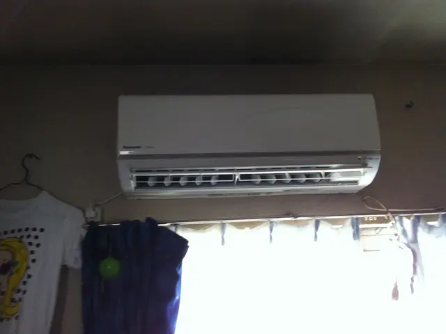 猫ちゃん ワンちゃん居ても大丈夫です！動物大好き光電設ヘサービスの画像