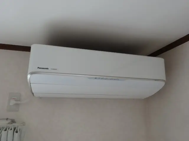 猫ちゃん ワンちゃん居ても大丈夫です！動物大好き光電設ヘサービスの画像