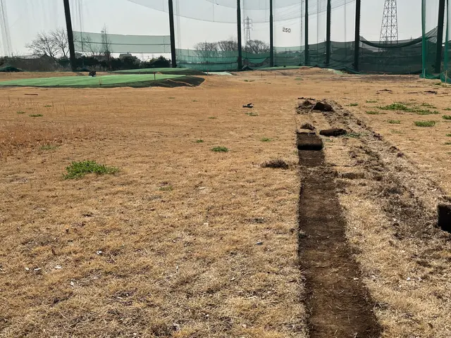 【芝張り】経験・実績豊富です◎丁寧に綺麗な仕上げを目指します！サービスの画像