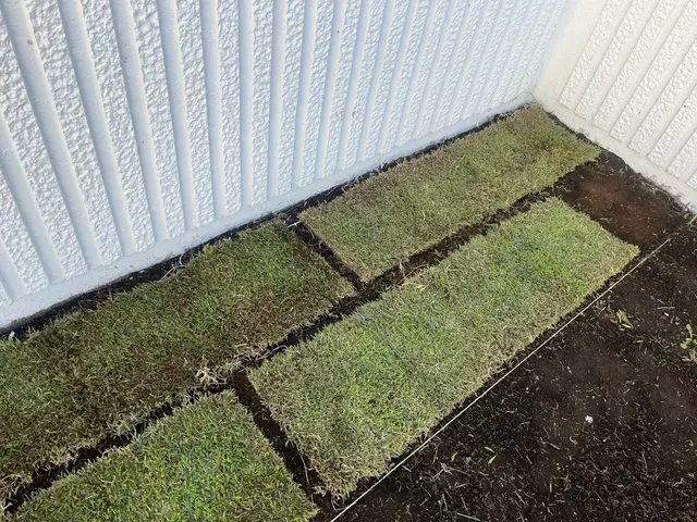 【芝張り】経験・実績豊富です◎丁寧に綺麗な仕上げを目指します！サービスの画像