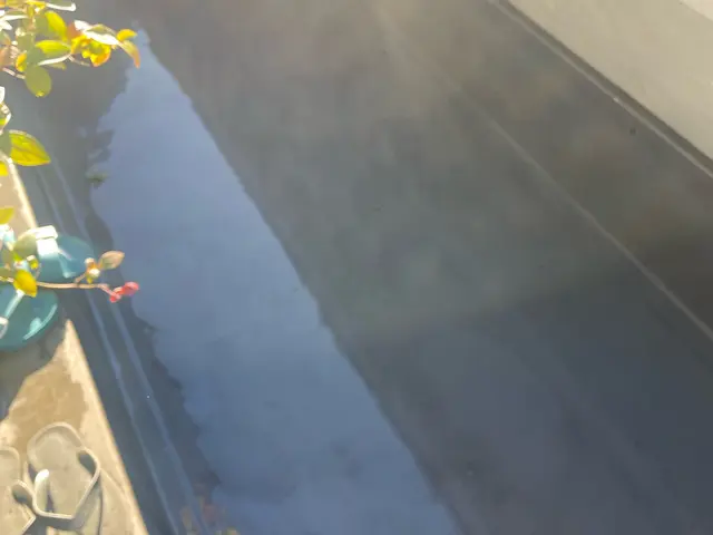 【10/24.25空きあり！】高圧洗浄機×力強いブラシング！窓もセットも可能！サービスの画像