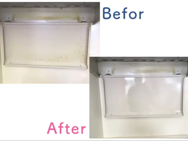 【 曜日時間外も相談可 】★女性スタッフ対応★レンジフードのお掃除お任せくださいサービスの画像