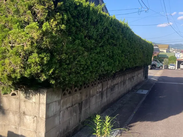 ◆佐世保市発◆大手業務経験あり◆迅速きれいに仕上げます！お任せください！サービスの画像