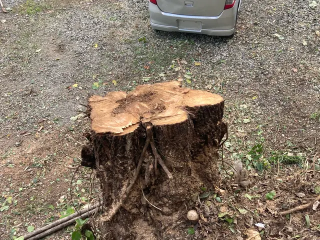 ◆佐世保市発◆大手業務経験あり◆迅速きれいに仕上げます！お任せください！サービスの画像