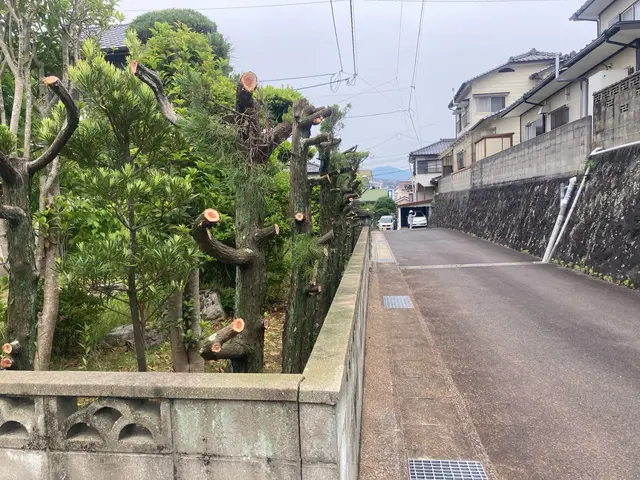 ◆佐世保市発◆大手業務経験あり◆迅速きれいに仕上げます！お任せください！サービスの画像