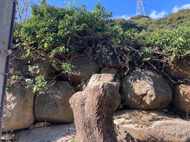 ◆佐世保市発◆大手業務経験あり◆迅速きれいに仕上げます！お任せください！サービスの画像