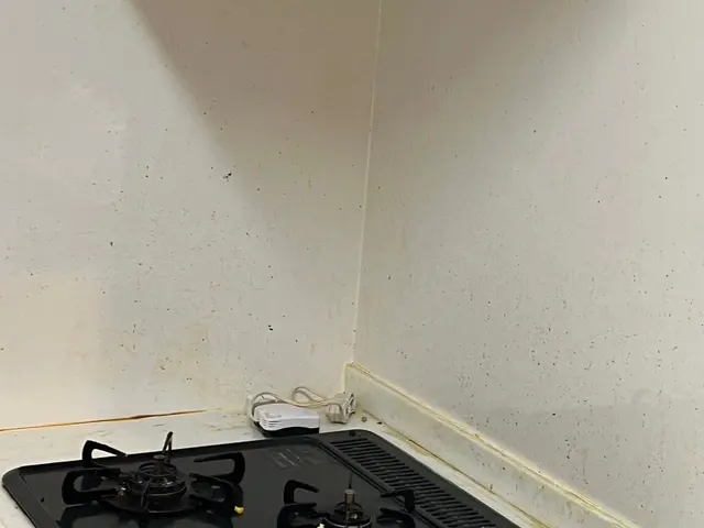 【女性スタッフ活躍中◎】安心の損害保険加入店！大手の業務経験も豊富です！サービスの画像