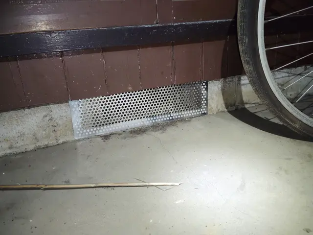 施工後6ヶ月保証　長年の経験で培った知識と技術であらゆるネズミ被害を解決しますサービスの画像