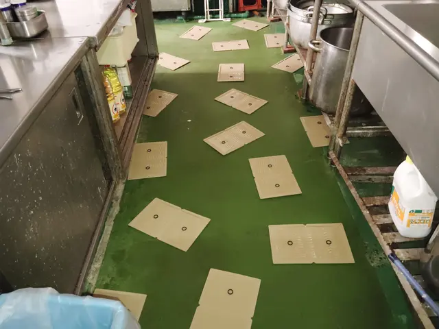 施工後6ヶ月保証　長年の経験で培った知識と技術であらゆるネズミ被害を解決しますサービスの画像