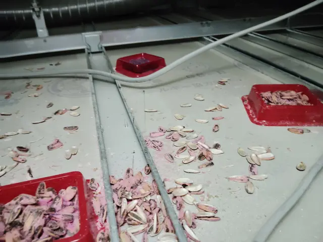 施工後6ヶ月保証　長年の経験で培った知識と技術であらゆるネズミ被害を解決しますサービスの画像