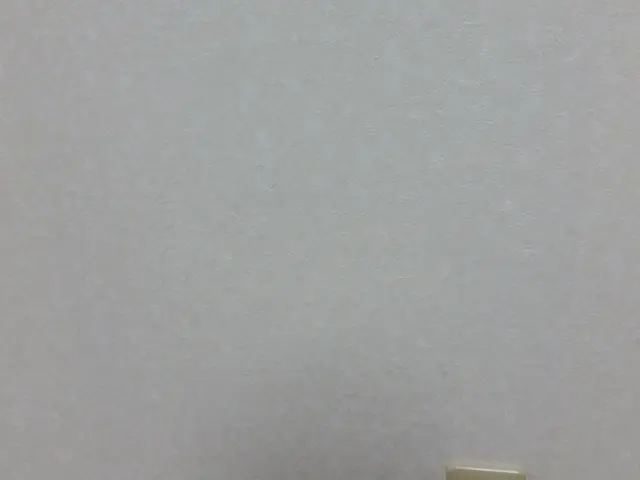 壁の穴補修、ペットの引っ掻き傷もお任せ下さい！本当のプロのクロス屋ですよサービスの画像