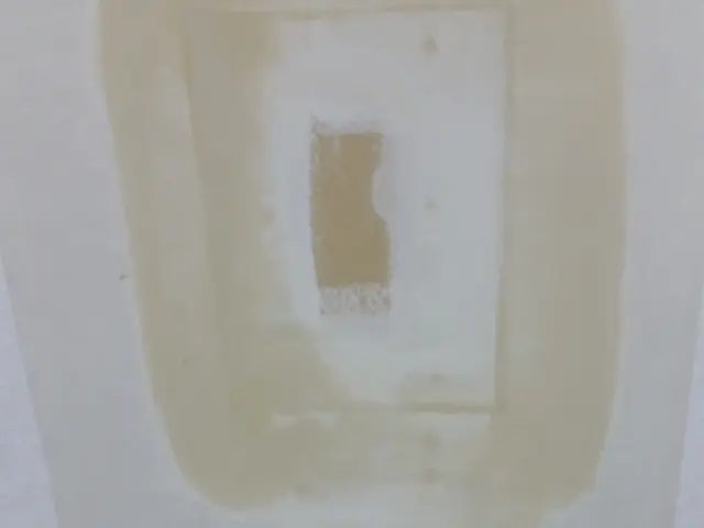 壁の穴補修、ペットの引っ掻き傷もお任せ下さい！本当のプロのクロス屋ですよサービスの画像