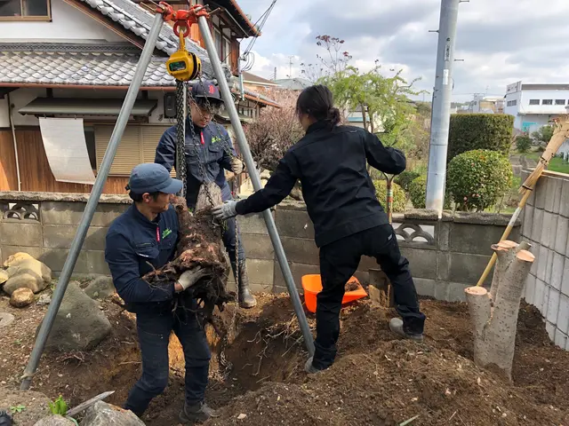 グリーンエスペランカー【割引相談】空師☆重機を使わず木に登って伐採します。サービスの画像