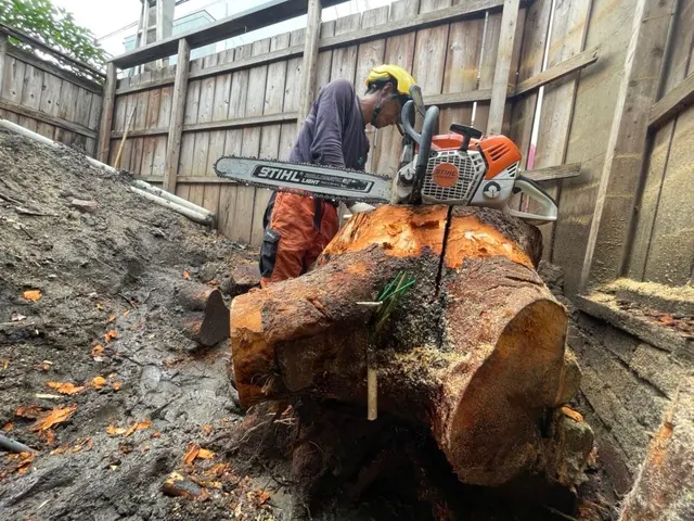 グリーンエスペランカー【割引相談】空師☆重機を使わず木に登って伐採します。サービスの画像