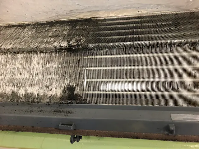 狭山市発【年中無休】土日祝もご予約大歓迎！大手業務経験あり！損害保険加入店サービスの画像