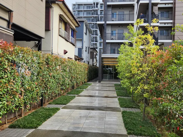 水平や曲線をメリハリ良く綺麗に刈る事によってお客様、歩行者様に清々しさを"サービスの画像