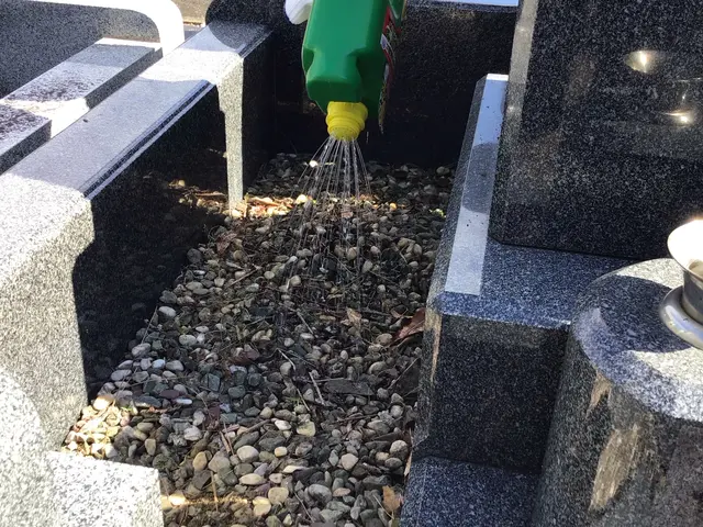 草むしりのプロが行う！迅速丁寧、墓参り代行サービスサービスの画像