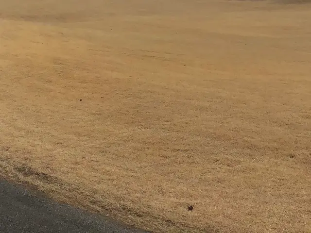 ☆業界歴23年☆外注作業一切なし！大手での経験も豊富です！材料費込みの費用です！サービスの画像