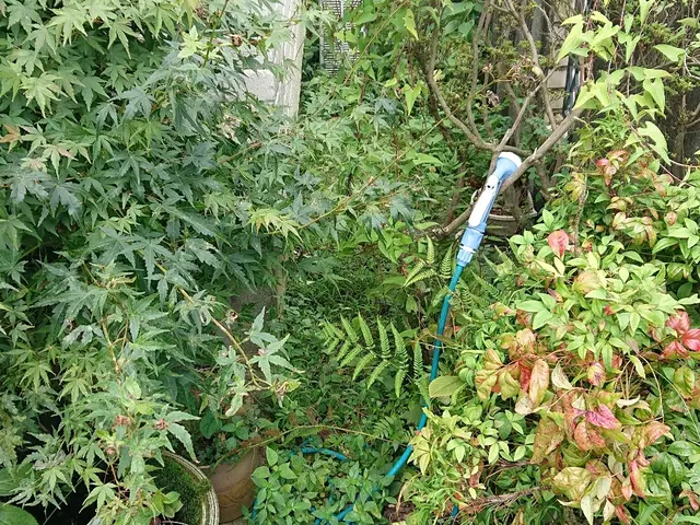 【365日予約受付中！】作業完了まで責任持って対応しますサービスの画像