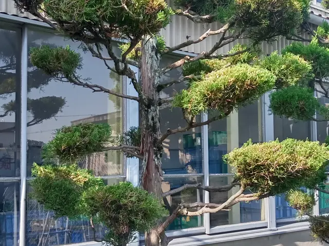 ◆職人歴20年の経験と実績◆年中無休◆完全自社施工◆仕上がり保証ありサービスの画像